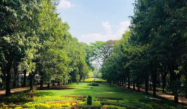Featured Image of Cubbon Park