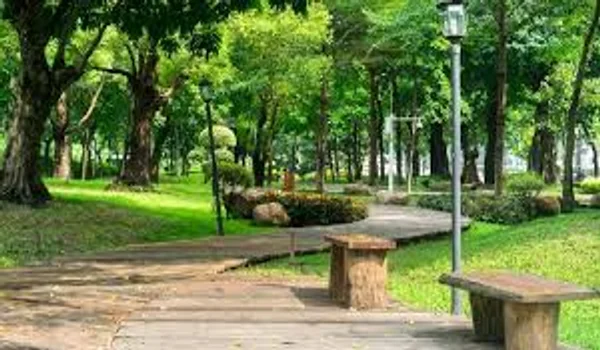 Featured Image of Recreational Zone