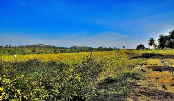 Featured Image of Shivanahalli Village